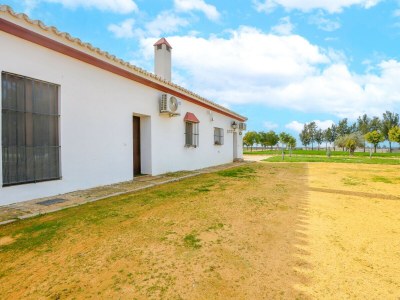 Holiday house Montecristo 4 - Outdoor photo 35