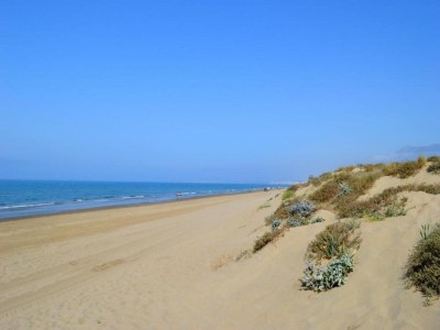 Apartment Apartment Marbella 100m from Beach - Environment photo 27