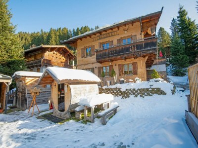 Apartment Chalet in Hochfügen near Ski Slopes - Outdoor photo 7