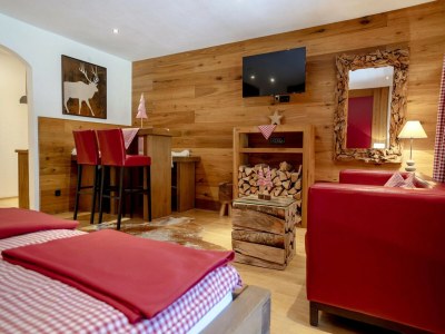 Apartment Studio in Seefeld by Gschwandtkopf Ski Slope - Features photo 3
