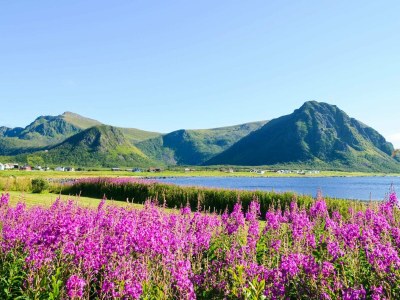 Holiday house 4 person holiday home in ALSVÅG - Outdoor photo 16