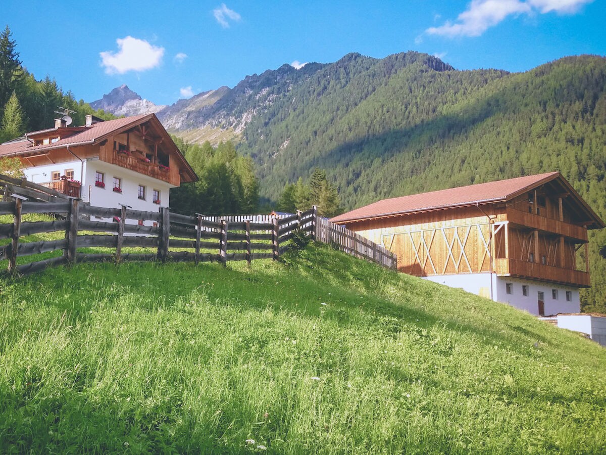 Holiday apartment Kuglerhof - Outdoor photo 2