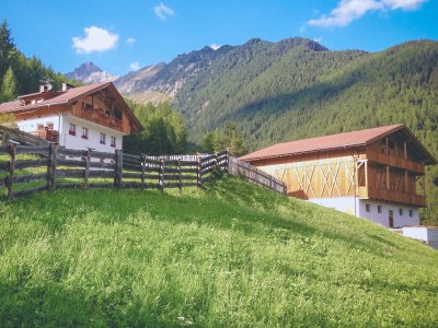 Holiday apartment Kuglerhof - Outdoor photo 2