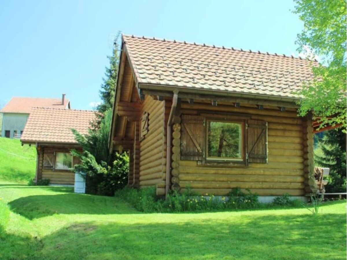 Chalet Chalet in La Bresse mit Bergblick - Outdoor photo 3