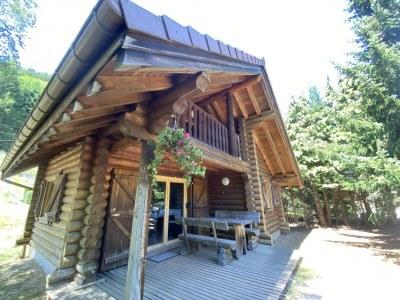 Chalet Chalet in La Bresse mit Bergblick - Outdoor photo 10