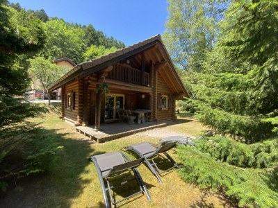 Holiday house Chalet in La Bresse with Mountain Views - Outdoor photo 4