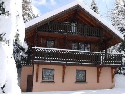 Chalet Chalet in La Bresse mit Bergblick - Outdoor photo 3