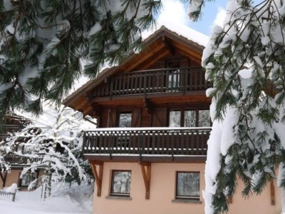 Chalet Chalet in La Bresse mit Bergblick - Outdoor photo 10