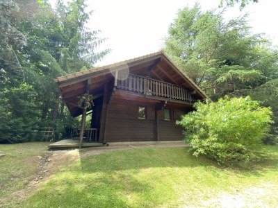 Chalet Chalet in La Bresse mit Bergblick - Outdoor photo 5
