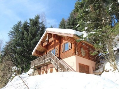 Chalet Chalet in La Bresse with Hot Tub & Mountain Views - Outdoor photo 8