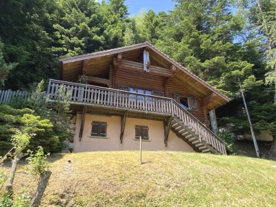 Chalet Chalet in La Bresse with Hot Tub & Mountain Views - Outdoor photo 14