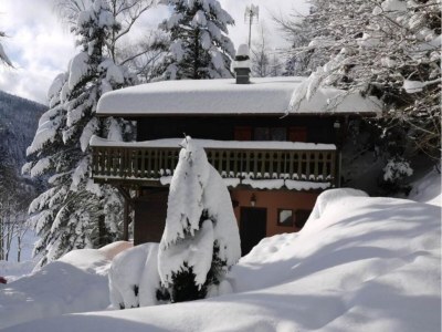 Chalet Chalet in La Bresse mit Bergblick - Outdoor photo 3