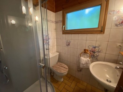 Chalet Chalet nahe malerischem See in Frankreich - Features photo 19