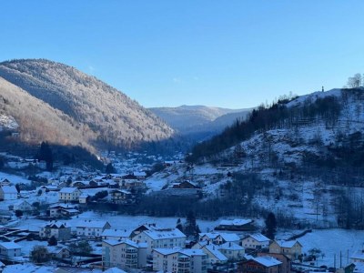 Apartment Apartment in La Bresse near River & Ski Resort - Environment photo 28