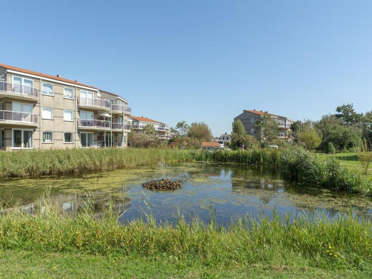 Apartment Seaside home with terrace - Outdoor photo 2