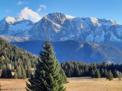 Apartment Alpine Hideaway mit Balkon - Environment photo 33