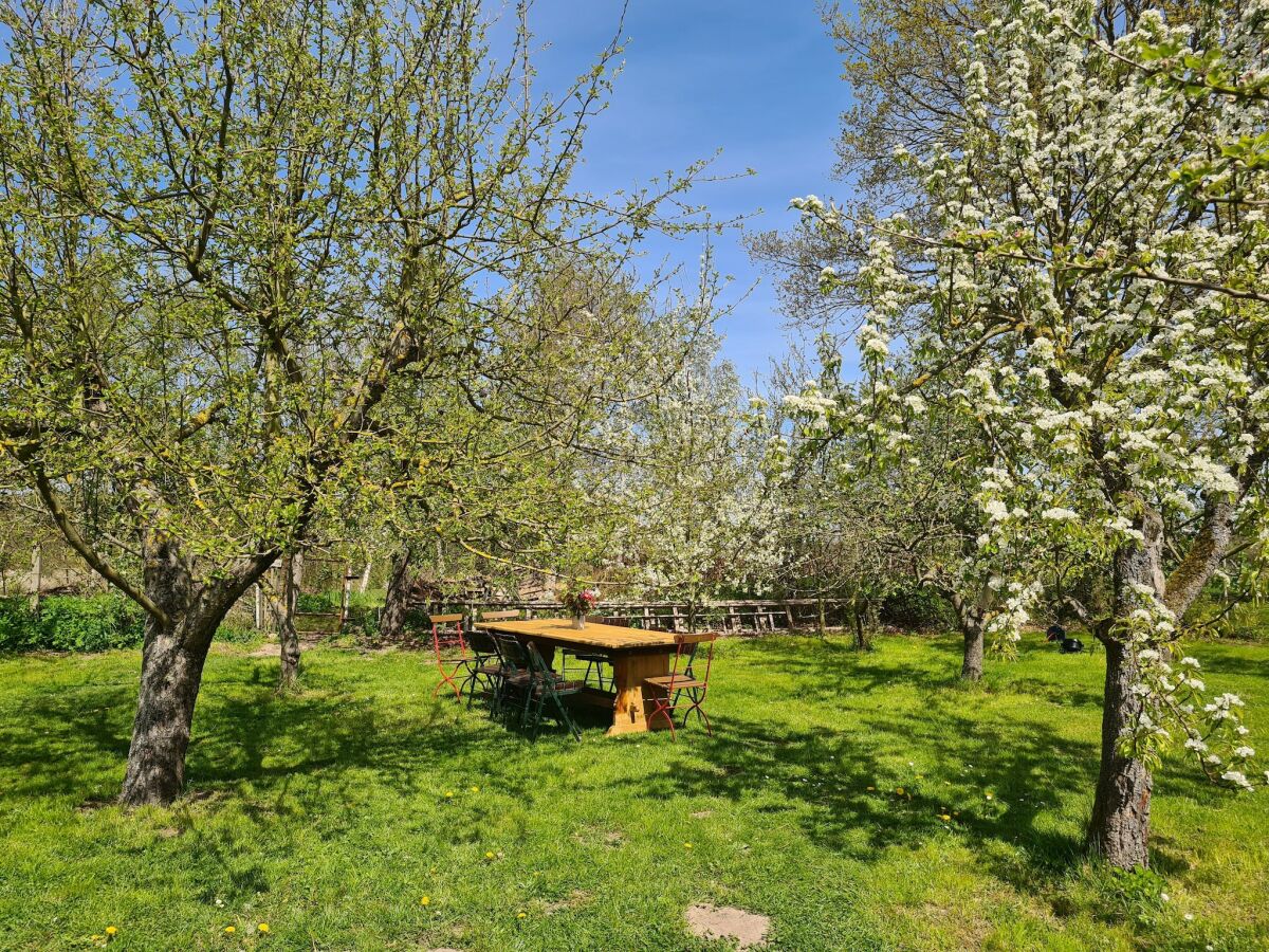 Apartment Retreat with Garden & Family Amenities - Outdoor photo 3