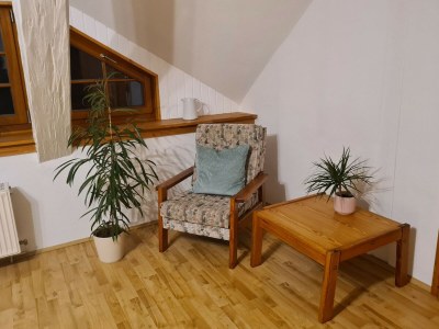 Apartment Krusenhagen Apartment mit Garten - Features photo 15