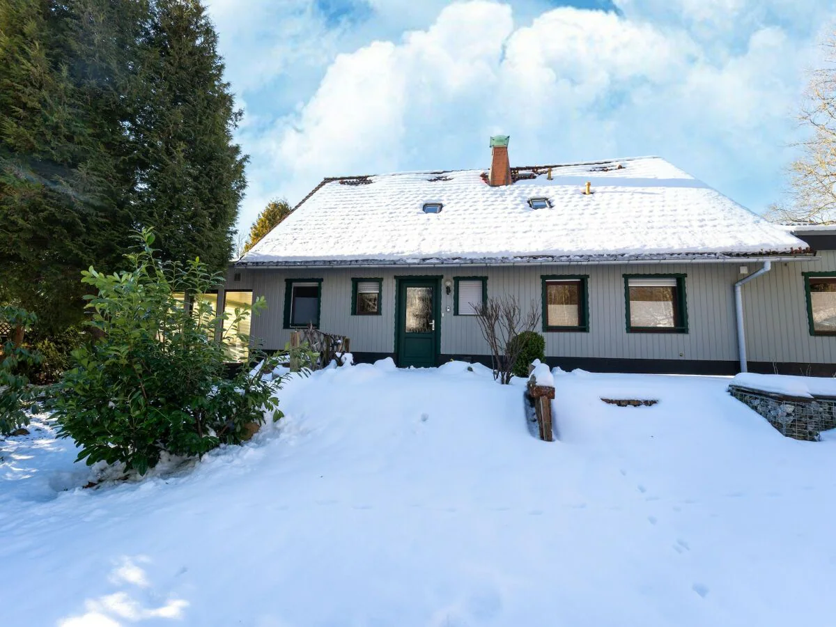 Holiday house Forest Villa with Sauna