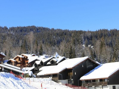 Apartment Apartment in Morillon near Ski Slopes - Outdoor photo 10