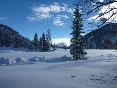 Alpine hut Alpine cabin "Sonntagshorn" - Environment photo 19