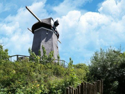Holiday park Villa in Egmond near Beach & Windmill - Environment photo 28