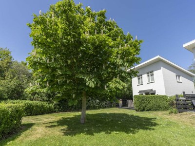 Holiday house Pretty home with garden - Outdoor photo 6