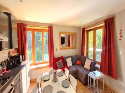 Chalet Alpine Apartment for 6 Guests - Features photo 8