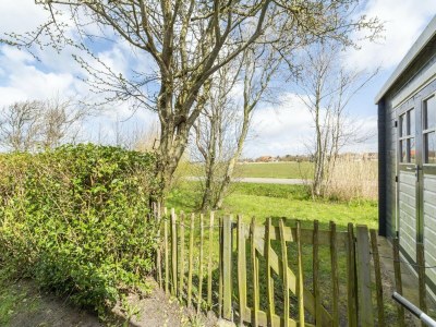Bungalow Holiday home near dunes - Outdoor photo 20