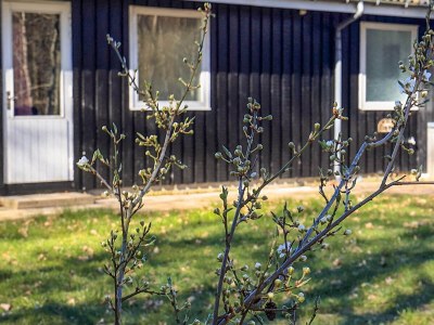 Holiday park Ferienhaus mit Gemeinschaftsküche und -bad in Læsø - Outdoor photo 16