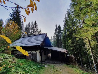 Apartment Idyllic cabin with sauna - Outdoor photo 8