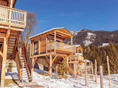 Holiday park Luxus-Chalet mit Geschirrspüler in Umgebung - Outdoor photo 16