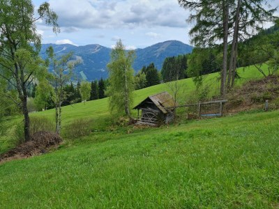 Apartment Apartment near Romerbad Thermal Spa - Outdoor photo 3