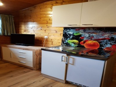 Apartment Apartment near Romerbad Thermal Spa - Features photo 10