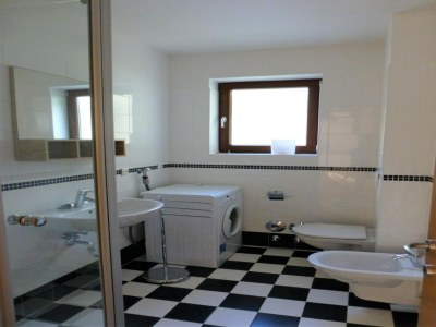 Apartment Apartment near Romerbad Thermal Spa - Features photo 14