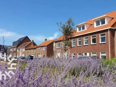 Apartment Zoutelande - ZE1421 in Zoutelande - Apartment