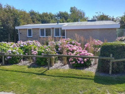 Bungalow Westkapelle - ZE1434 in Westkapelle - Bungalow