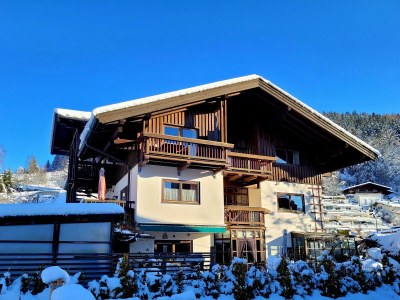 Holiday apartment Schmittenblick - House Hollaus - Outdoor photo 11