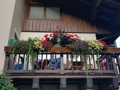 Holiday apartment Schmittenblick - House Hollaus - Features photo 22