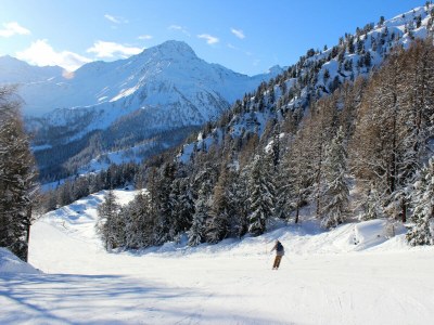 Chalet Appaloosa - FABULOUS & LUXE chalet 12 pers - Environment photo 37