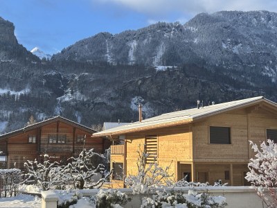 Chalet My Chalet Engelhornblick - Outdoor photo 3