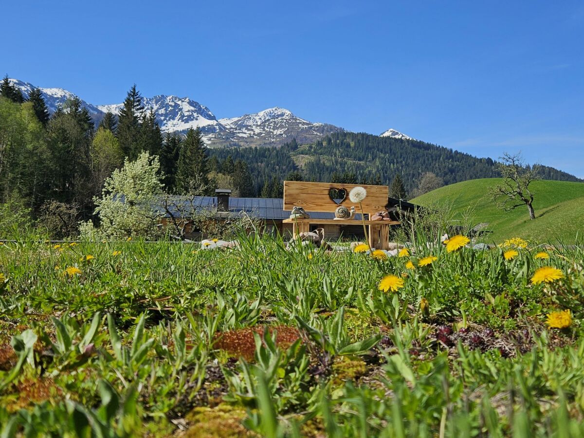 Apartment Ferienwohnung Rotache - Outdoor photo 5