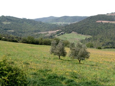 Farmhouse Scenic Tuscan Farmhouse - Outdoor photo 3