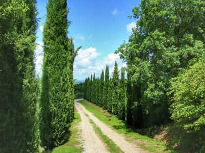 Farmhouse Scenic Tuscan Farmhouse - Environment photo 34