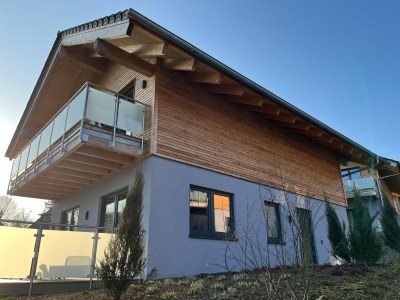 Holiday house modernes Chalet in Hahnenklee - Holiday house