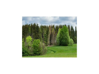 Holiday house Lodge in Buntenbock in Flussnähe - Environment photo 12