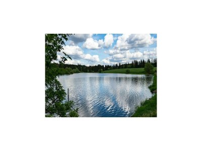 Holiday house Lodge in Buntenbock in Flussnähe - Environment photo 15