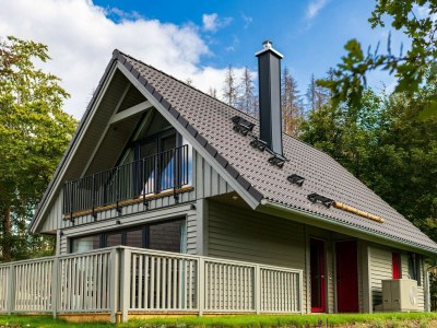 Holiday house Exklusives Chalet in Buntenbock in Clausthal-Zellerfeld - Holiday house