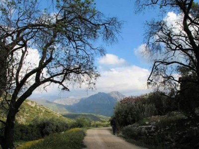 Holiday house Landhaus in Andalusien nahe Tiñosa Gipfel - Environment photo 31