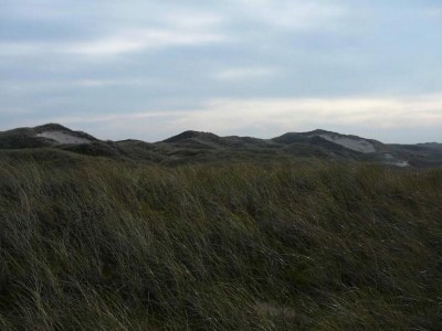 Holiday park Wohnung in Nordholland am Strand - Environment photo 27